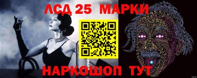 гидропоника Пугачёв