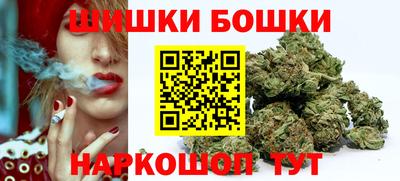 гидропоника Пугачёв